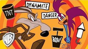 Looney Tunes Wile E Coyote & Roadrunner Compilation WB Kids