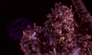 "Now look what you've done!!"