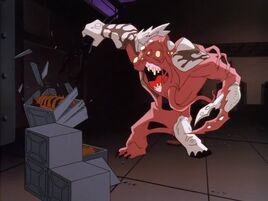 Final Form