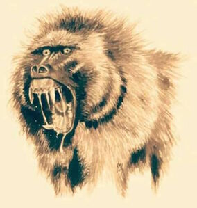 A drawing of a Devil Monkey's face.