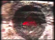 A glimpse of the Cult's logo.
