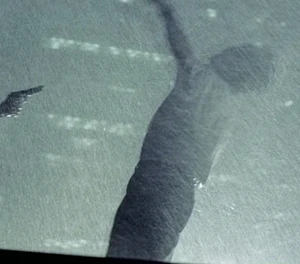 Demus Shot.jpg (257 KB) Demus being shot by Prudhomme