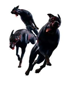Resident evil cerberus ORC.png (476 KB)