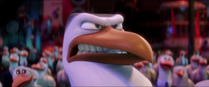 Storks Hunter Angry Stare