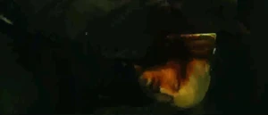 Von Garten's corpse sinks to the ground.