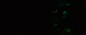 The piranhas appearing before killing Sam.