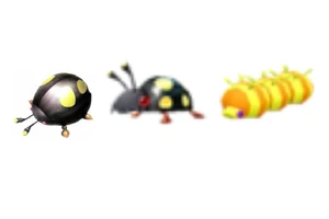 Scarab Beetles.