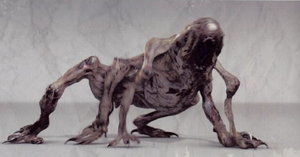 Ursa design.png