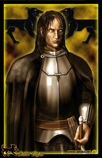 ONLY SANDOR  Game of thrones jaime, Game of thrones tv, The hound