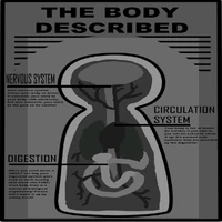 Nevadean anatomy poster