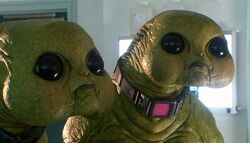 Bloorm and her husband Dax