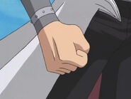 Kaiba fist