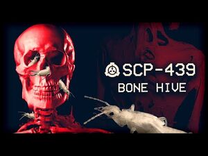 SCP-439 - Bone Hive - Euclid - Insect-Skeletal SCP 💀