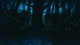 TheLastHopeBackground