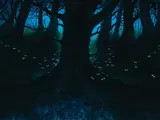 The Dark Forest