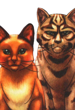 Tigerstar, Warrior Cats, the Game Wiki