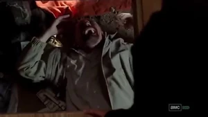 Walt's villainous breakdown.