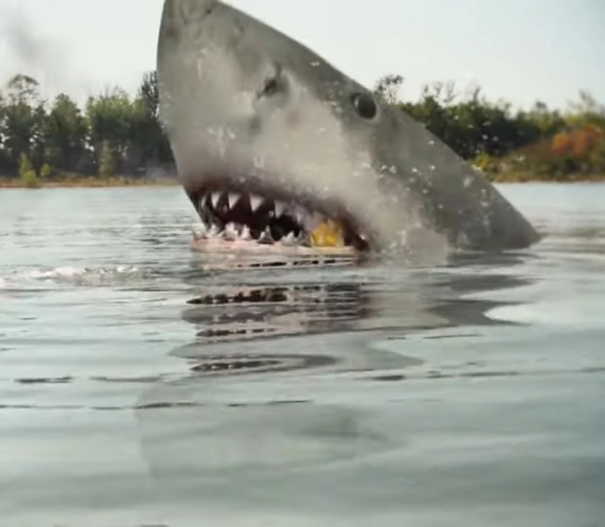 Megalodon (Jurassic Shark) | Villains Wiki | Fandom