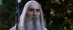 Saruman meets with Gandalf the Grey in The Lord of the Rings: The Fellowship of the Ring