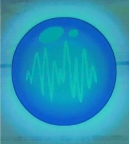 G'ORB.jpg