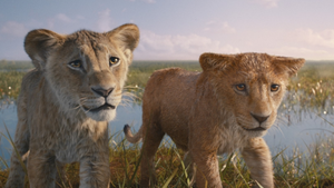 Young Taka after he saved Young Mufasa