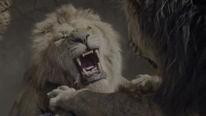 Scar digging his claws into Mufasa's paws, echoing saving him in the prequel but this time has gone too far