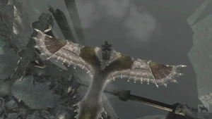 Swooping.jpg (132 KB)