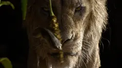 Lionking2019-animationscreencaps.com-610