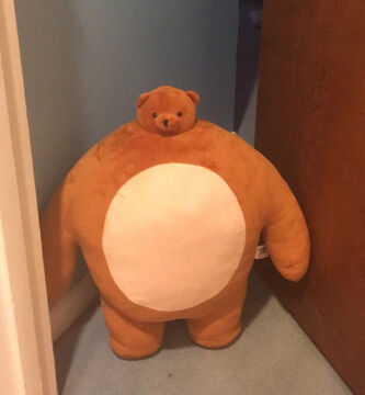 Big buff teddy bear sales