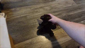 Hi, traitors!! Tress greeting her former friends turned enemies.