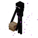 A real Enderman