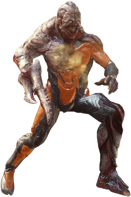 Flood Spartan form