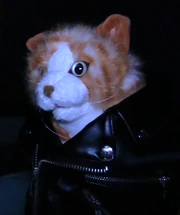 Mrwhiskers