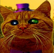 Fredcat