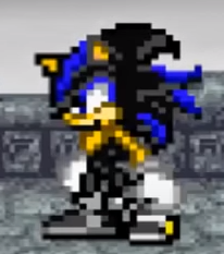 Seelkadoom the Hedgehog, SonicRPG Wiki