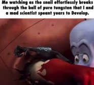 Image 2024-06-02 174122895.png (114 KB)