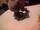 The new adventures of plush Freddy season 1 episode 10 The Wrath of Banette part 1 of 2