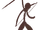 Primal (They're Sticks, Probably)