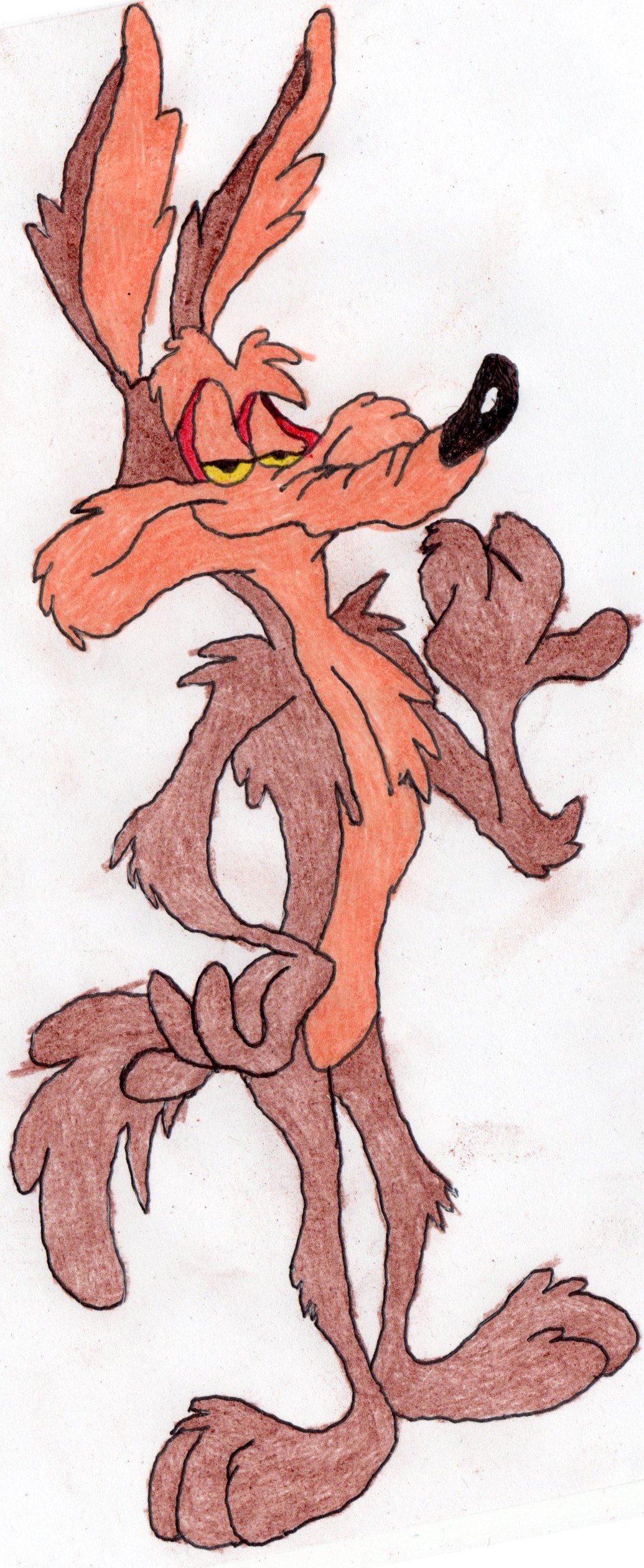 Wile e coyote hotsell super genius full episode