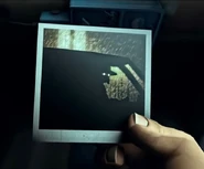 Jane Doe's picture of the Undertaker