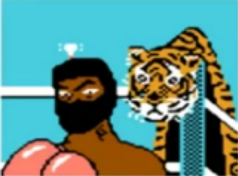 Magic Ninja (Phred's Cool PunchOut!!) Villains Fanon Wiki Fandom