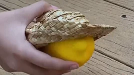 The Lemon front