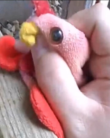 strut beanie baby