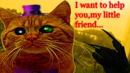 Fredcat on teaser