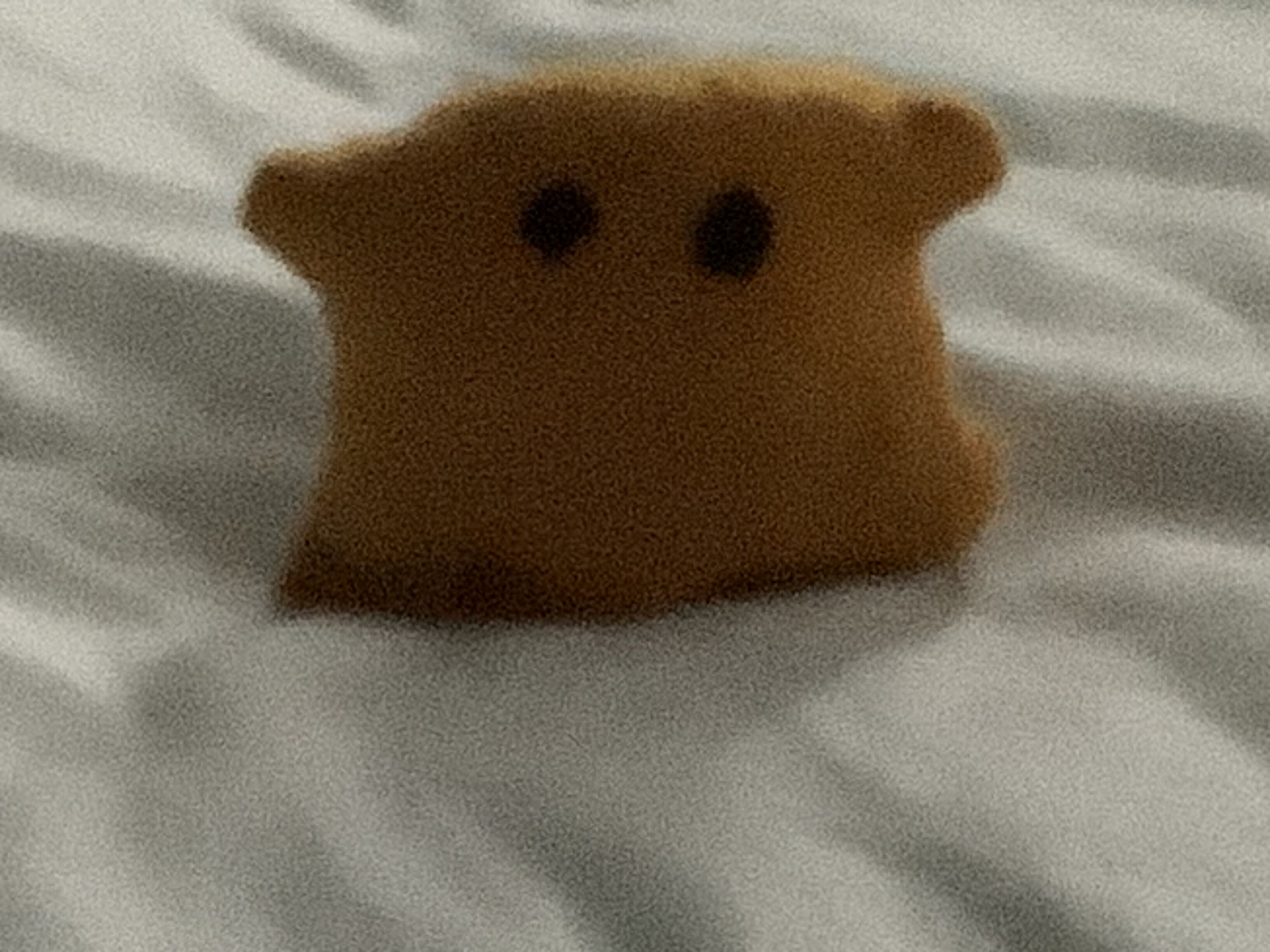 SCP-7143-J, the crude cookie, AKA Cookie Cosplay : r/SCP