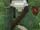 FavreMySabre (Twisted Rainbow)