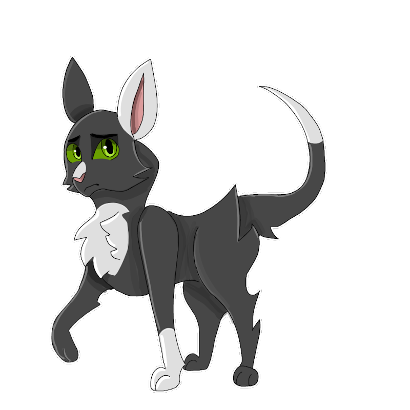 Ravenpaw, Warriors Wiki