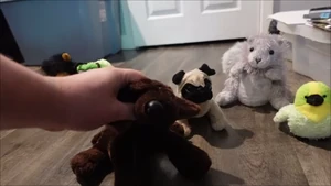 Tress confused about the show not getting canceled.