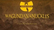 Video describing the Wagundan Knuckles
