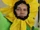 Flowey (Random Encounters)